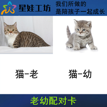 Old and young paired special early childhood education early childhood education autism autistic children rehabilitation training cards training tools