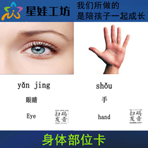 Body Department Cognitive Card Autism Child Rehabilitation Language Developmental Delay Training Card English Early Education Card