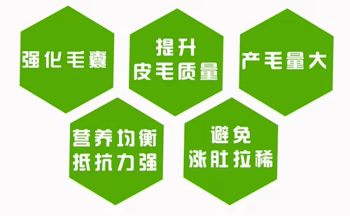 Оттер кролик длинный волосатый кролик Специальное корм