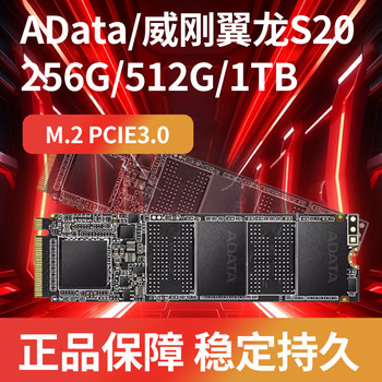 Adata Xpg Pterosaur S20 M.2 Solid State Drive Ssd Desktop Computer Notebook with Gaming Office High Speed