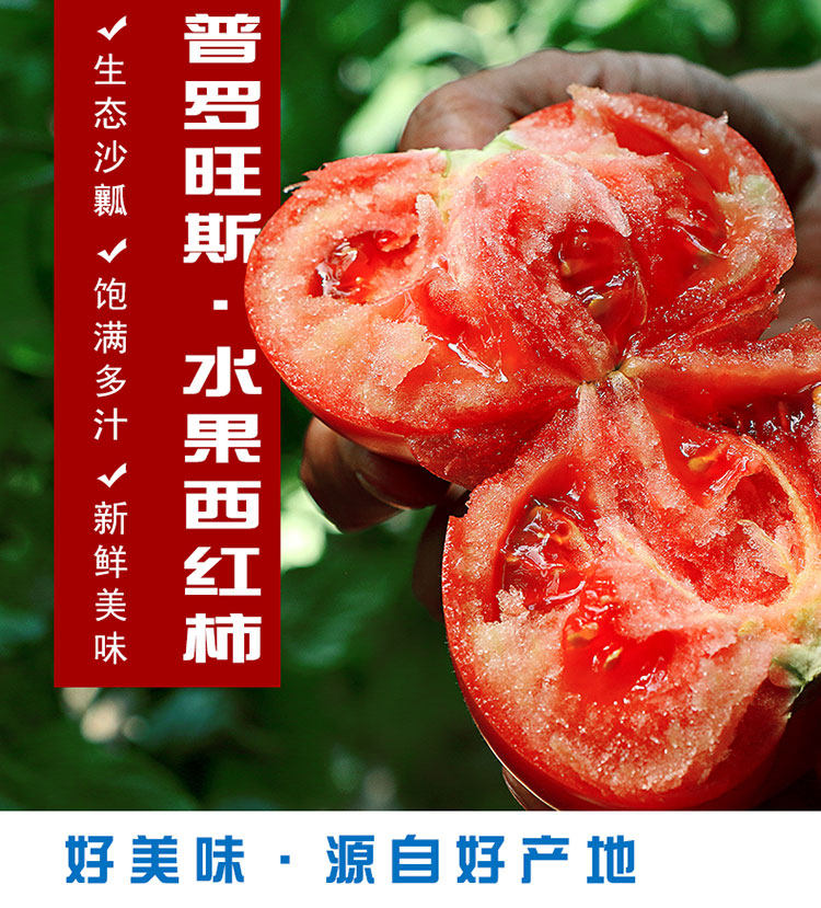 Provence fruit tomato tomato raw with sand pulp fresh natural cooked and found to be eaten