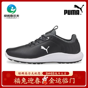 Puma, мужские повседневные кроссовки