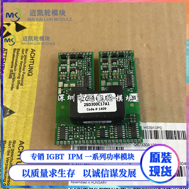 Brand New Original 2Sd300C17A1 2Sd300C17A2 2Ed300C17-St S 2Sd315Ai in Stock