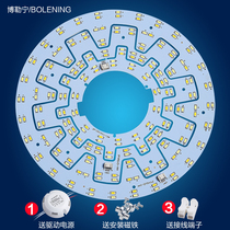 LED ceiling lamp modified light board remote control segmented dimming color bulb lamp tube light bar circular ring gear plate