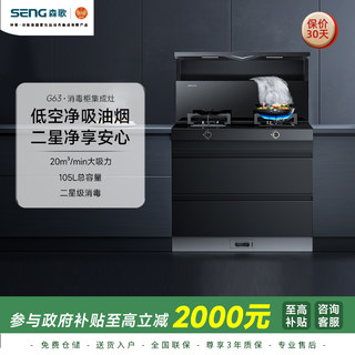 Senge integrated stove first-class energy efficiency g63