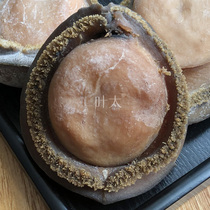 2 header Bao Shuangtou Bao Cardigan Dry Balfish Big Abalone Dry gold and difficult to buy Double Head Bao 2 Head 500g