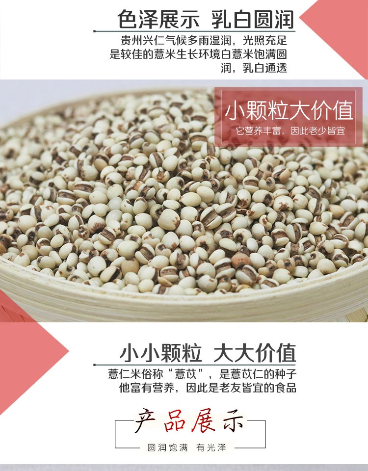 【助农】熟薏米茶500g