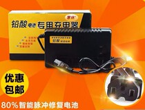 48V60V64V12AH 20AH 30ah40AH Aucma New Day Bird Emma Electric Car Charger