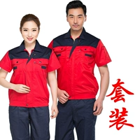 Красный фандри тибетский синий (набор)