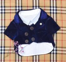 Original Pet Clothes Custom Gold Velvet Suit Dog Cat Gentleman Suit Teddy Pomeranian Fighting Bichon Frize