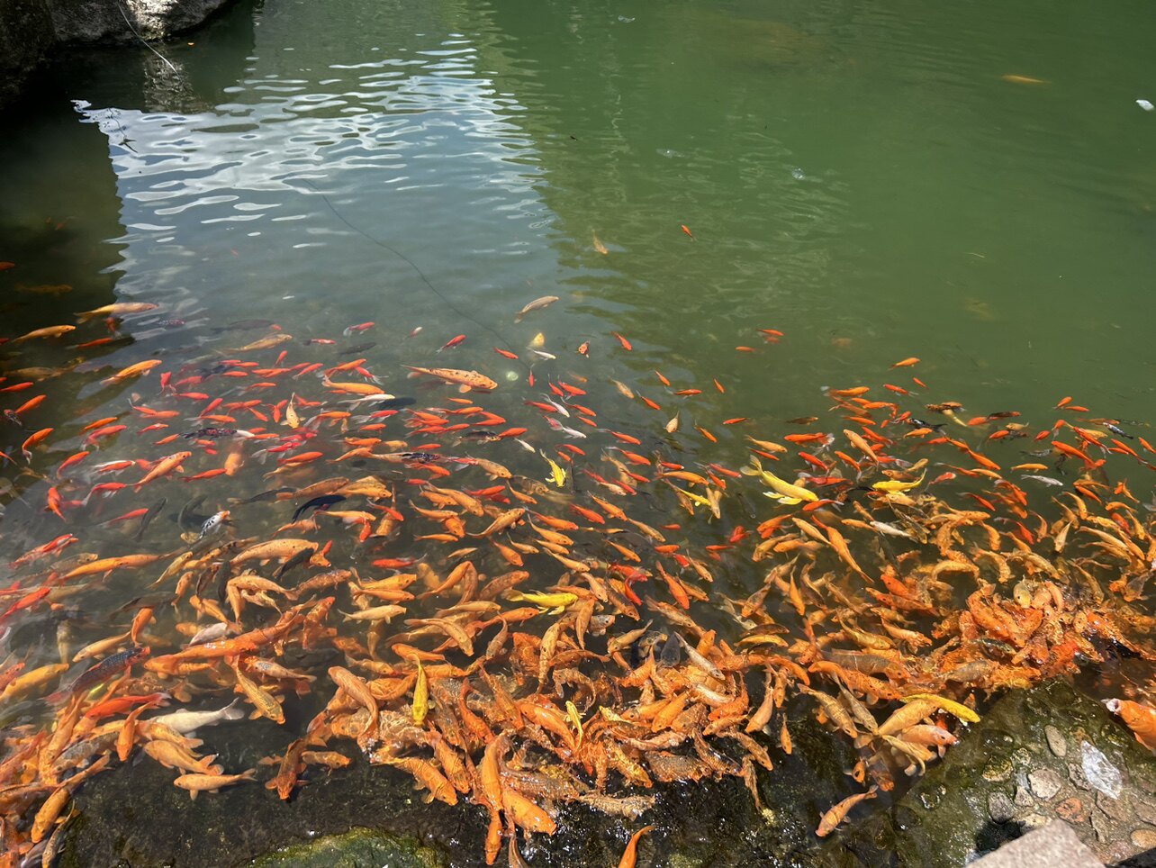 晟梵塑料厂