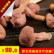 Meat Mushroom Wild - dry cargo wild meat mushroom red mushroom 250g