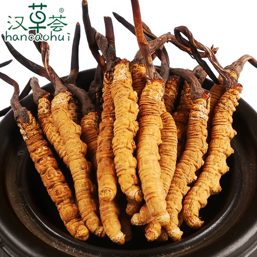 汉草荟 Тибетские Cordyceps Sinensis 18 штук 7 граммов 7 граммов Cordyceps купить подарочную коробку