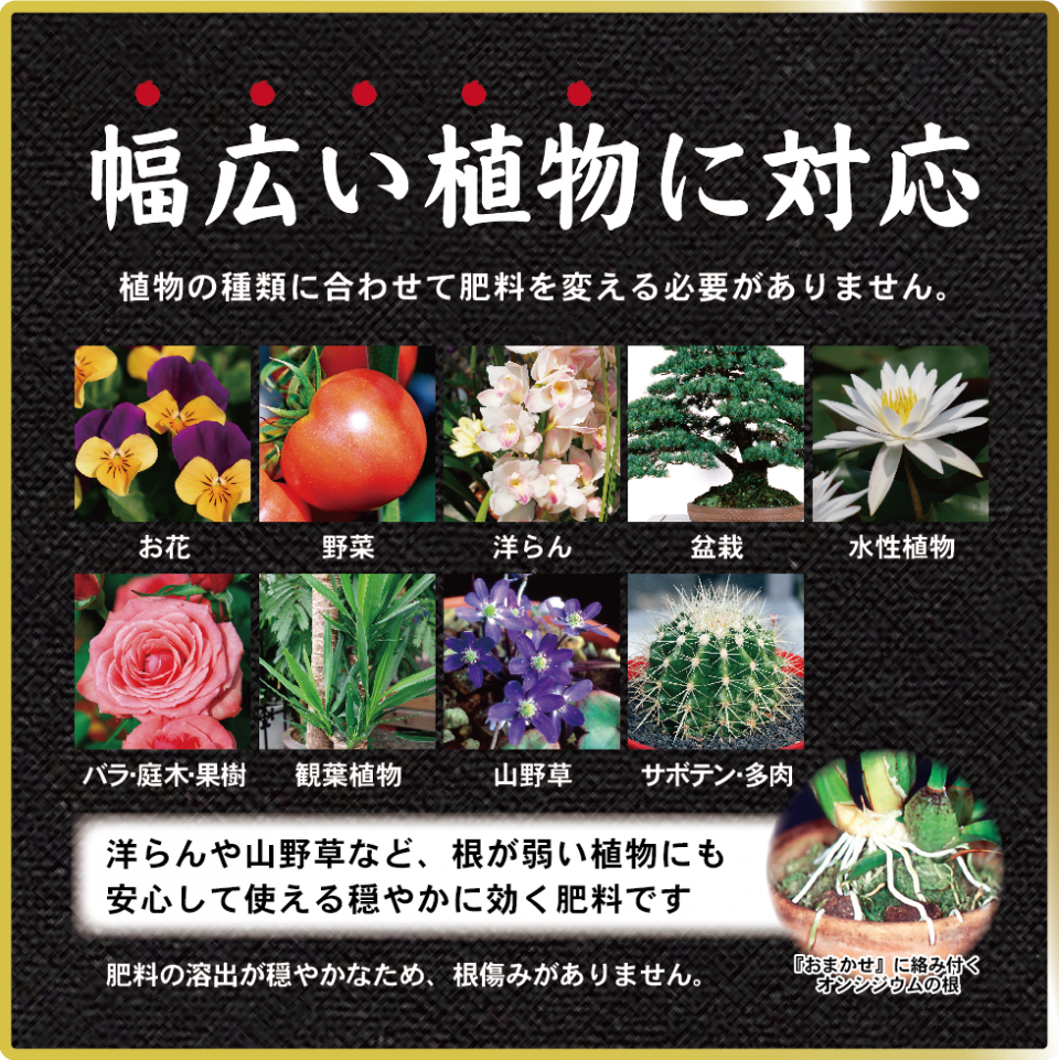 细粒超发酵颗粒肥日本产东商万年青肥特许深度发酵肥植物通用 细粒超发酵颗粒肥日本产东商万年青肥特许深度发酵肥植物通用