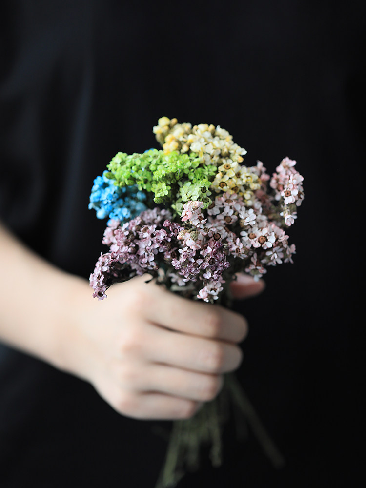 Rose French white Plum Daisy eternal flower Preserved flowers imported dried flowers Home soft flower arrangement bottle small fresh wind