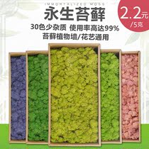 Impurity-free moss wall simulation plant wall indoor image background wall decoration deer core Moss diy