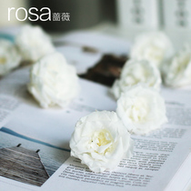 Rosewood evergreen flowers white yellow marianne rosemary flowers marquee garriet flowers little frescoed soft dress decorations