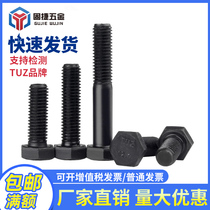 12 9 grade hexagon screw black TUZ high strength lengthy Bolt mechanical screw column M6M8M10M12