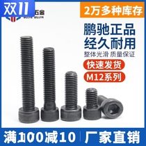 (M12) Pengchi 12 9 grade high strength alloy steel screw Cup head 12 9 grade hexagon socket screw bolt