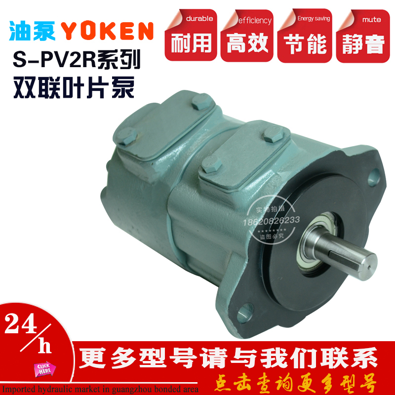 Yukenn Oil Pump S-Pv2R2/Pv2R23/Pv2R4 Double Vane Pump S-Pv2R14/Pv2R2 Hydraulic Pump