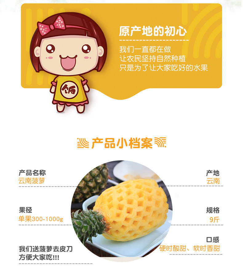 西域美农 云南蜜香菠萝 净重9斤 图3