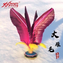 Fire Feather Bird Shuttlecock Childrens Primary School Kindergarten Competition Sports Spline Adult Fitness Wai Kick Wild Goose Feather Shuttlecock