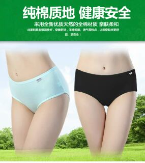 Slip A001 - Ref 652456 Image 7