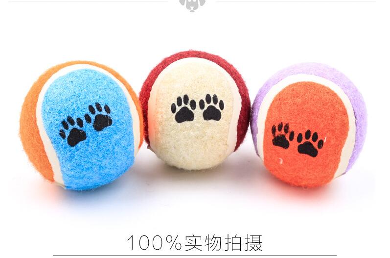 Chó đồ chơi bóng thú cưng đồ chơi jinmaotai huấn luyện thú cưng mèo tennis những đồ chơi cho chó	