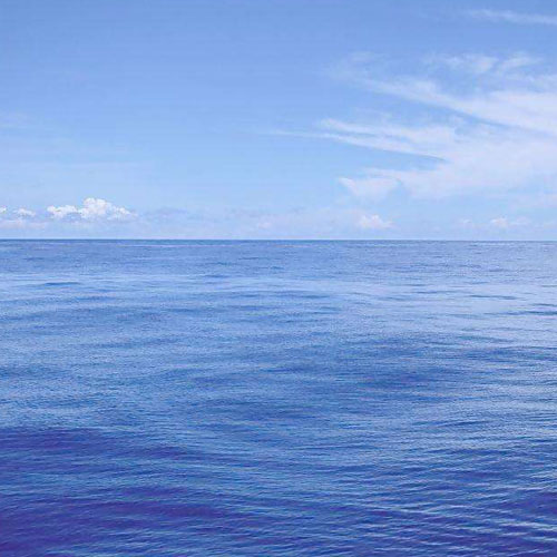 6 vận chuyển Thư viện mùi hương Ocean Ocean Sea chính hãng Nước hoa Demeter 2ml có vòi nước hoa coco chanel