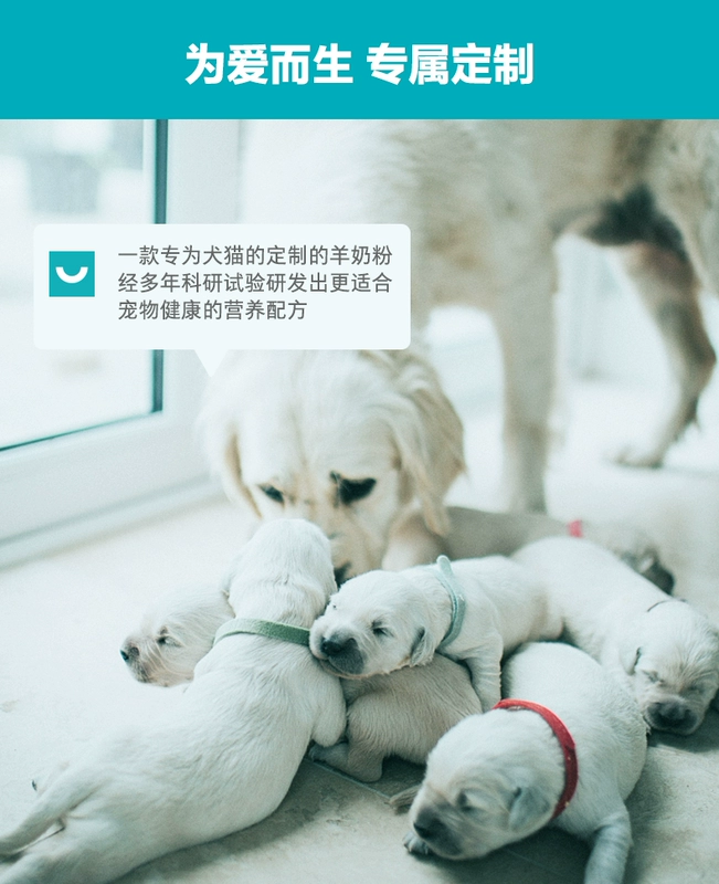 Wei Shi sữa dê bột bảo vệ thú cưng sữa dê bột chó con chó con sơ sinh mèo con Teddy Golden Hair sữa bột 400g lon - Cat / Dog Health bổ sung sữa mèo