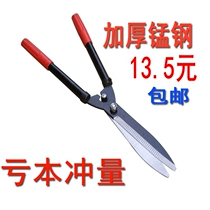 Floral cutting of branches Pruning Garden Shears Whole Branches Flowers Branches Cut Twigs Garden Scissors Lawn Cut Green Hedge Clippings