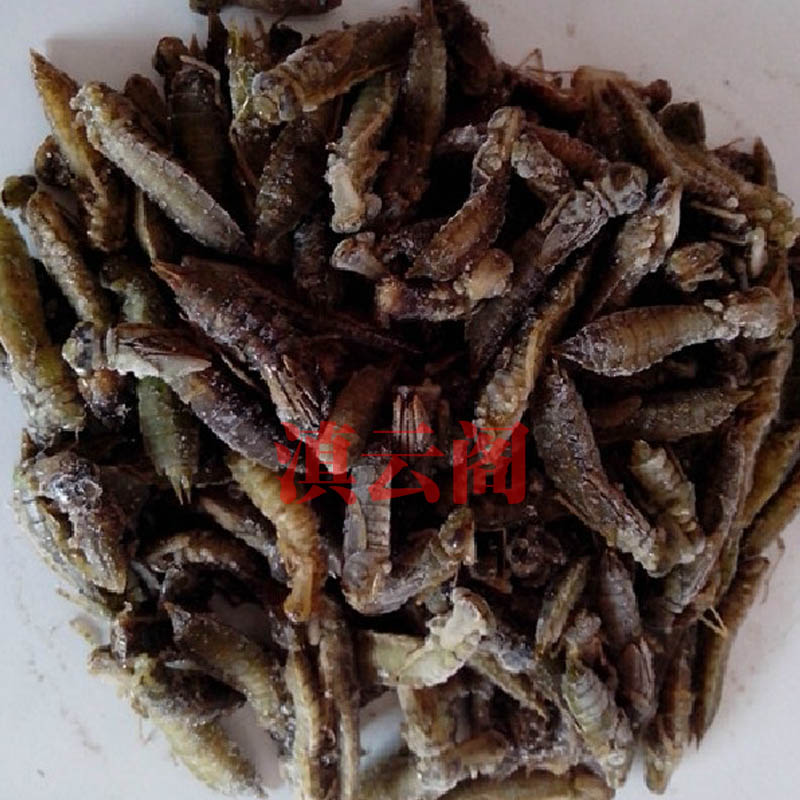 A Chinese gourmet snack specie in Yunnan tongue with a frozen water dragonfly, a scorpion water insect