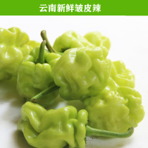 Yunnan fresh vegetable wrinkled skin pepper spicy fragrance wrinkled shell spicy hotel ingredients 750g SF