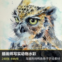Illustrator realistic animal watercolor birds cats dogs chickens ducks fish rabbits color lead hand-painted copying materials 248 pieces