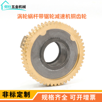 Non-standard customized National CNC tool holder reducer copper sleeve worm gear copper gear factory direct sales