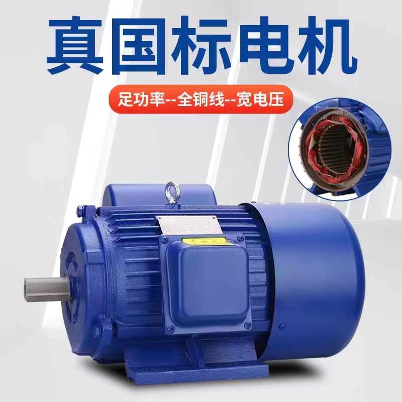 YL national standard single-phase motor full copper wire 220V household motor two-phase motor grinder thresher high horsepower