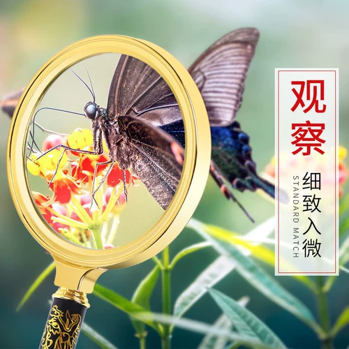 Очень большая портативная лупа для школьников