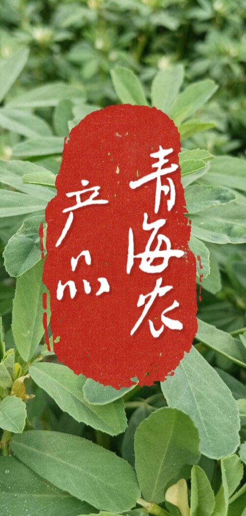 青海农产品店