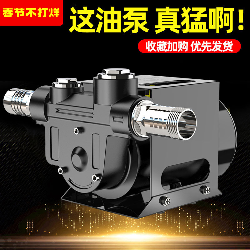 Electric Pump 12V24V220V Volt Pump Diesel Pump Pump Oil Pump