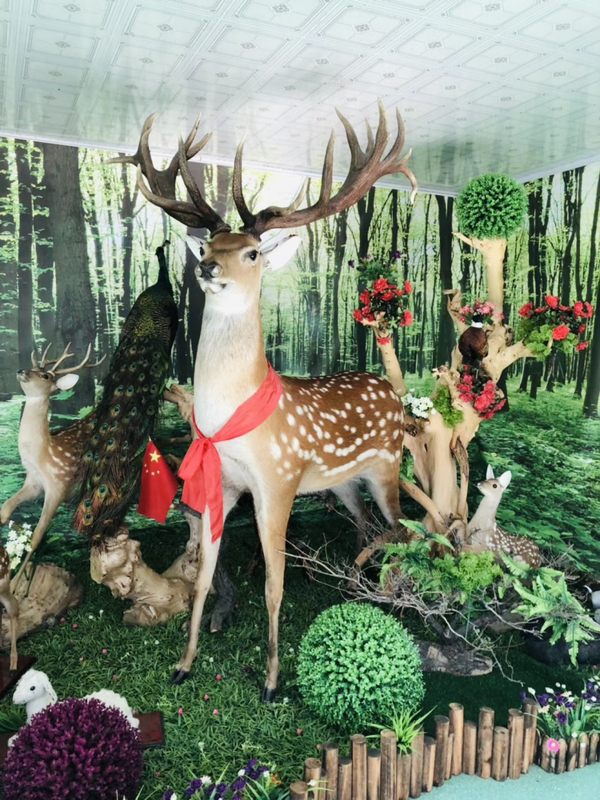 Deer Specimen, Jilin Sika Deer Model, Real Fur, Real Antlers, Deer Head Pendant, Deer Head Wall Hanging, Fortune-Attracting Ornament
