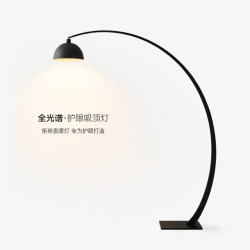 Designer Living Room Floor Lamp Next to Sofa and Coffee Table, Modern Minimalist High-End Eye-Protection Bedroom Study Atmosphere Fishing Lamp