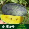Товары от 宏炬种业