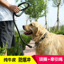 Explosion-proof punching gold wool traction rope Dog chain Dog Item Circle Large Dog Bull Leather Collar Dog Rope Three-ring Chain Suit