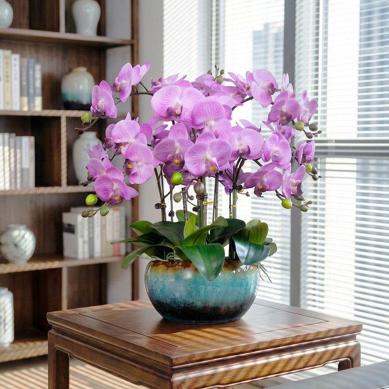 New Simulated Touch Moisturizing Phalaenopsis Orchid High-Quality Decorative Potted Plant Desktop Artificial Flower Antique-Style Living Room Ornament New Simulated Touch Moisturizing Phalaenopsis Orchid High-Quality Decorative Potted Plant Desktop Artificial Flower Antique-Style Living Room Ornament