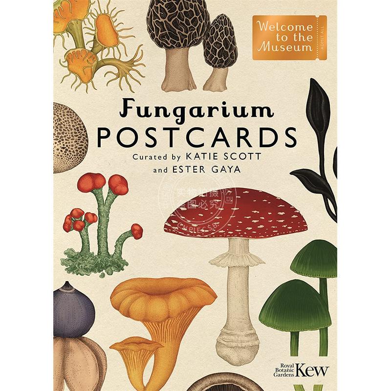In Stock: Fungarium Postcards - Welcome to the Museum Series - 50 Collectible Postcards for Illustration Enthusiasts - Katie Scott - Original English Version