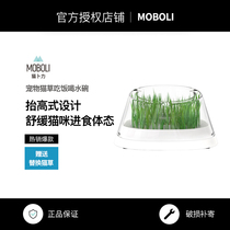 MOBOLI secret forest beveled Cat Grass Bowl cat bowl cat grass Cup Cat Grass Bowl cat grass Cup cat food bowl drinking basin cat dog bowl