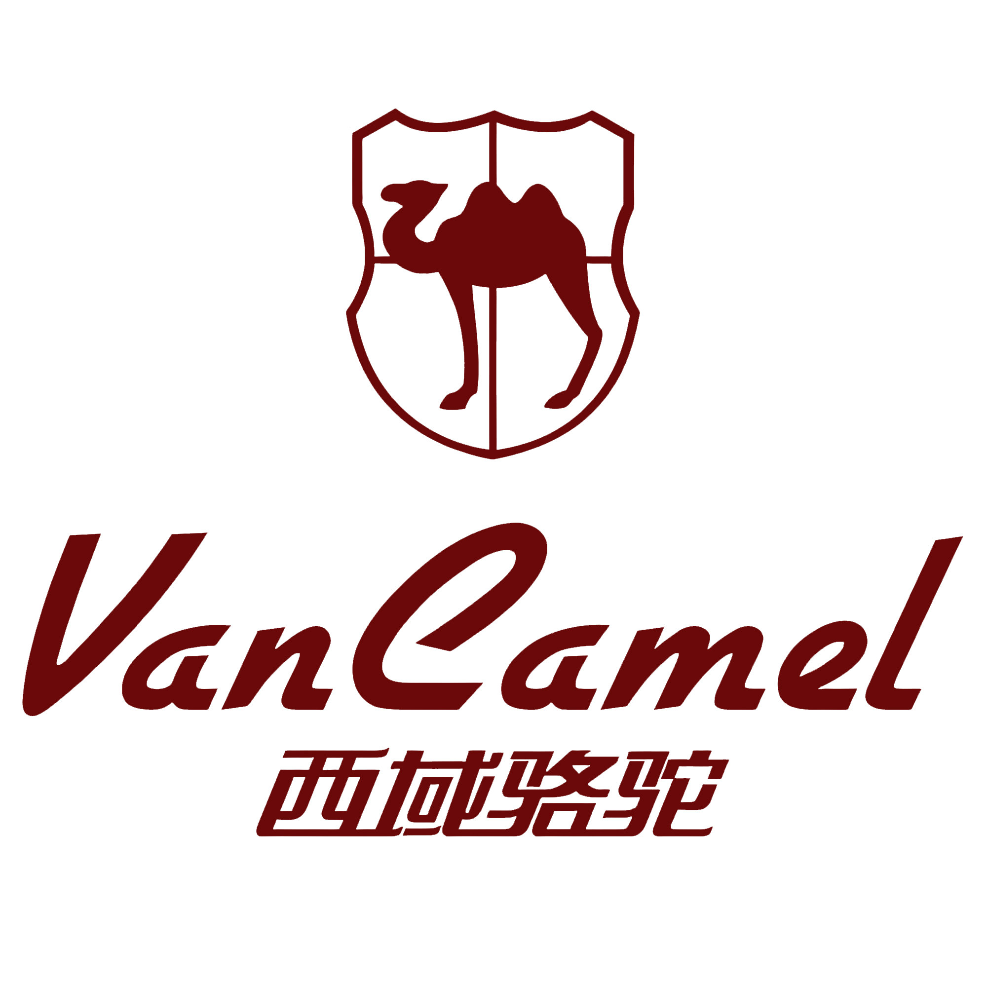 西域骆驼运动户外