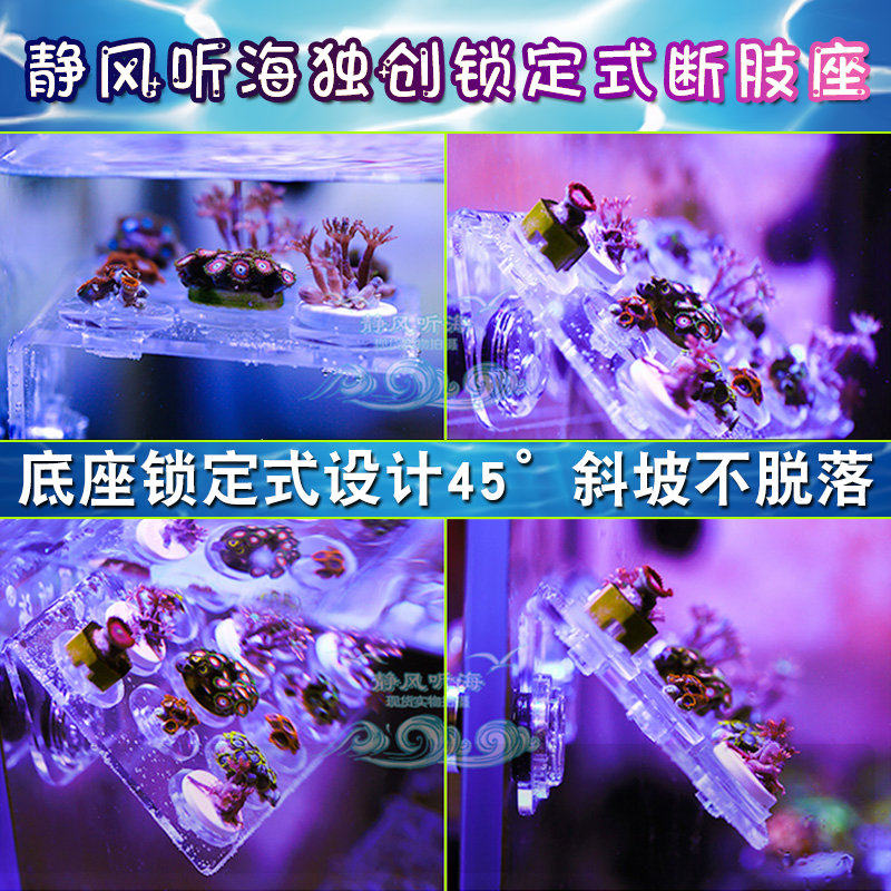 Quiet wind listening to the sea SPS button Broken Limb Rack Broken Branches Water Aquarium aquarium Coral Bracket Acrylic Base Fracture