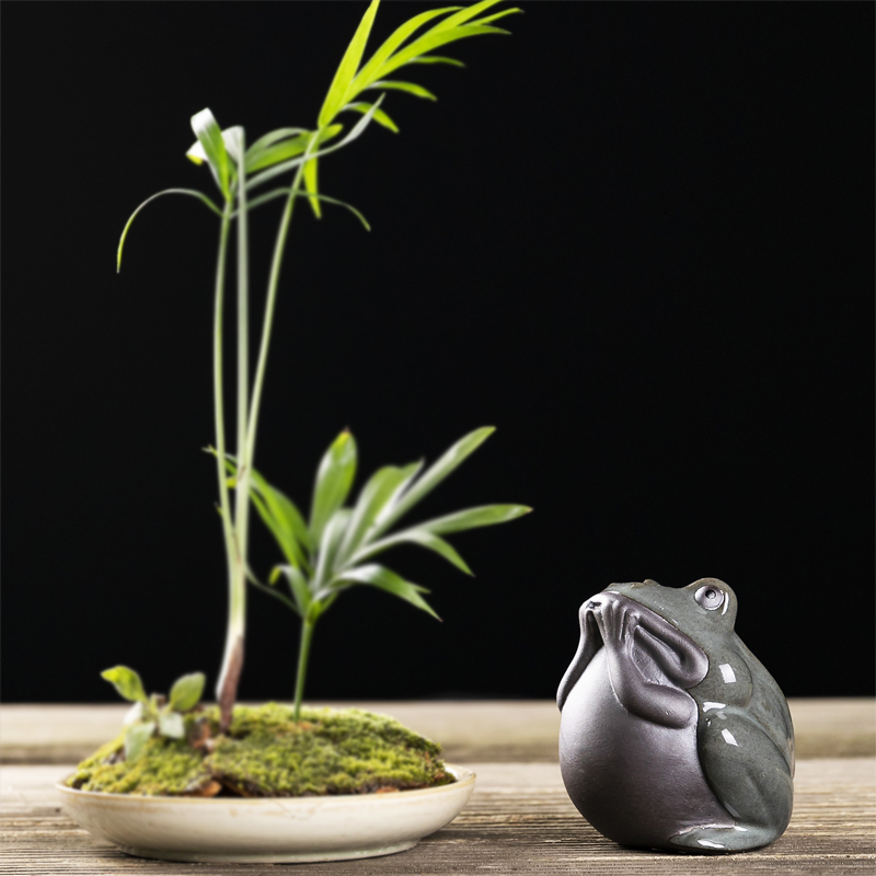 Creative purple sand tea pet pet decorative home furnishing articles furnishing articles can raise tea tea tray tea tea play tea tea accessories