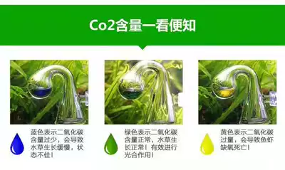 洪水族水晶玻璃co2长效检测器水族箱造景鱼缸草缸二氧化碳浓度监